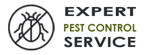 Emergency Exterminator Company Kirkland WA